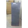 Image 2 : Metal Index Cabinet 30'' x 13'' x 38'' 