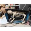 Image 3 : Halloween Inflatable , Skeleton Dog , Fog Machine and Liquid 