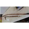Image 5 :  Diamond Willow Walking Stick & Walking Cane 