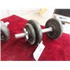 Image 3 : 2 Dumbells with (4)  5lbs Weights (4) 2 1/2lbs Weights