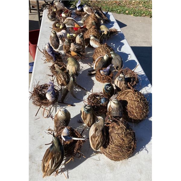 BIRDS AND NESTS, LOT