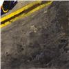 Image 2 : Nascar Fed Ex by Mezak Original