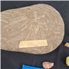 Image 2 : Assorted Rocks, Minerals & Fossils