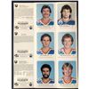 Image 2 : 1982-83 RED ROOSTER Edmonton Oilers set on 2 uncut sheets