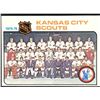 Image 1 : 1975-76 TOPPS KANSAS CITY SCOUTS