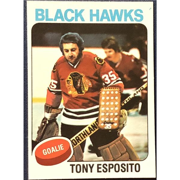 1976-76 O-PEE-CHEE TONY ESPOSITO (HOF)
