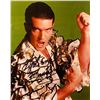 Image 1 : The Mambo Kings Antonio Banderas signed movie photo