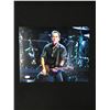 Image 1 : BRUCE SPRINGSTEEN SIGNED 11 x 14 PHOTO (JAMES SPENCE COA)