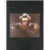 Image 1 : ELIJAH WOOD SIGNED THE MONKEY 8X10 PHOTO WWOC COA