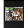 Image 1 : LOT OF 2 COMICS VARIOUS TITLES (INDI COMICS)