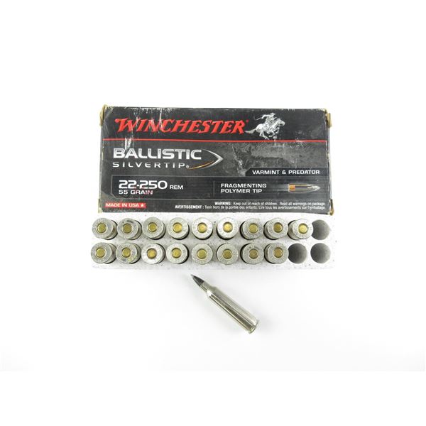 WINCHESTER .22-250 REM AMMO LOT