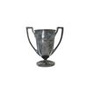 Image 2 : DOMINION OF CANADA POLICE TEAM TROPHY