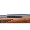 Image 7 : LAKELANDER | Model: TAP375 | Caliber: 308 WIN