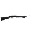 Image 1 : CHIAPPA CHARLES DALY | Model: 301 | Caliber: 12 G X 3"