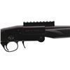 Image 3 : CHARLES DALY | Model: CD101 | Caliber: 410 G X 3"