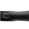 Image 9 : CHARLES DALY | Model: CD101 | Caliber: 410 G X 3"