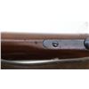 Image 18 : SWISS SCHMIDT RUBIN | Model: 1889 | Caliber: 7.5 X 53.5