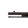 Image 14 : US TRAPDOOR | Model: 1884 | Caliber: .45-70 GOVT