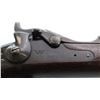 Image 16 : US TRAPDOOR | Model: 1884 | Caliber: .45-70 GOVT
