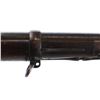 Image 18 : US TRAPDOOR | Model: 1884 | Caliber: .45-70 GOVT