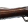 Image 23 : US TRAPDOOR | Model: 1884 | Caliber: .45-70 GOVT