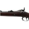Image 6 : US TRAPDOOR | Model: 1884 | Caliber: .45-70 GOVT