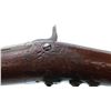 Image 9 : US TRAPDOOR | Model: 1884 | Caliber: .45-70 GOVT