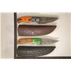 Image 1 : 2 DAMASCUS STEEL FIXED BLADE KNIVES: BOTH 8.25"