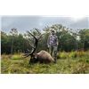 Image 3 : Camp Freedom Unlimited Elk Hunt