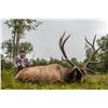 Image 4 : Camp Freedom Unlimited Elk Hunt