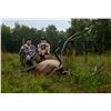 Image 6 : Camp Freedom Unlimited Elk Hunt