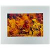 Image 1 : Jagjit Singh India Samaj Rain Colors