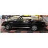 Image 2 : 1979 ALFA ROMEO SPIDER VELO 2 DOOR CONVERTIBLE