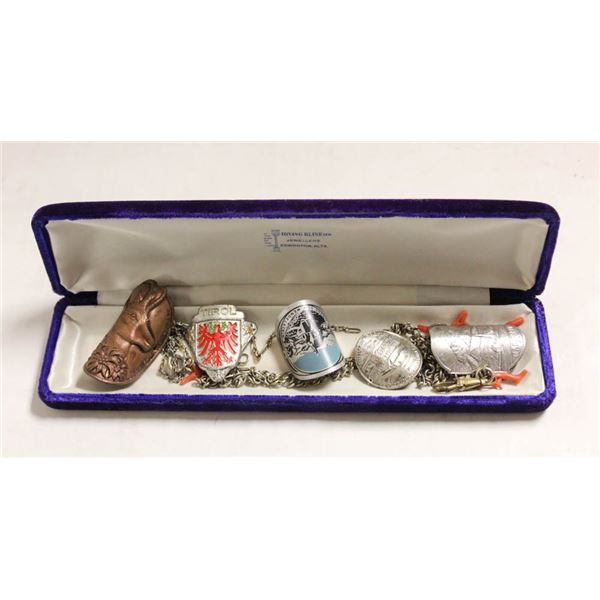 LOT ANTIQUE ALPINE HIKING STICK BADGES