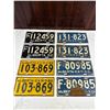 Image 2 : Vintage License Plate Pairs