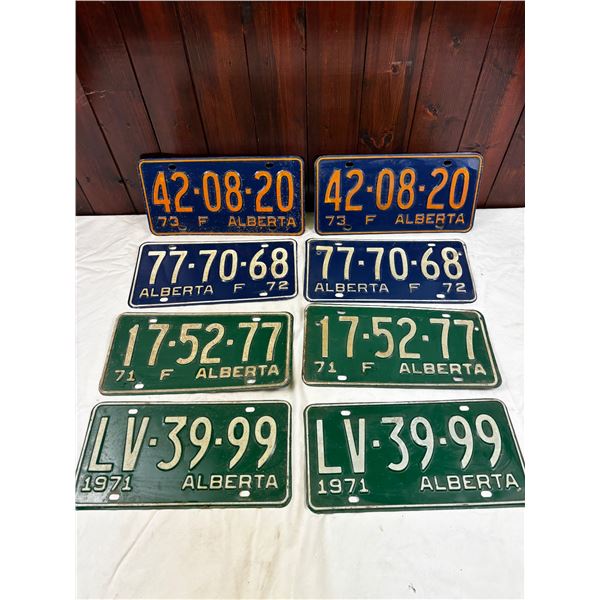 Vintage License Plate Pairs