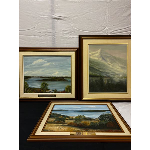 Framed Nature Artwork