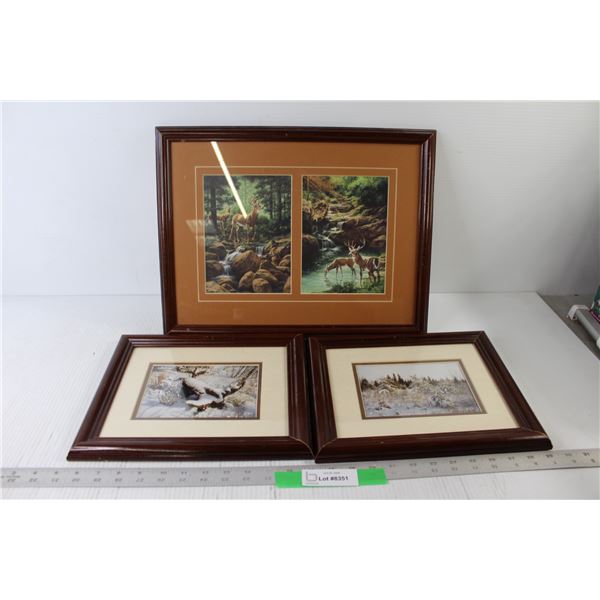 (2) Snow Nature Pictures Framed, Deer Art Framed - Largest 13 1/2" x 17 1/2"