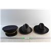 Image 1 : Navy Cap and (2) Hats