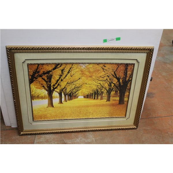 *Framed Fall Trees View Print 31'' x 43''