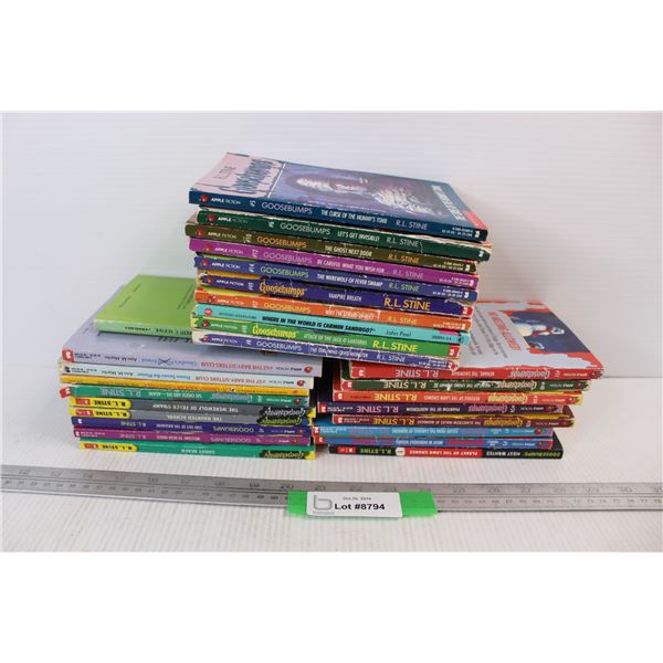 (28) Different R. L. Stine Goosebumps Chapter Books