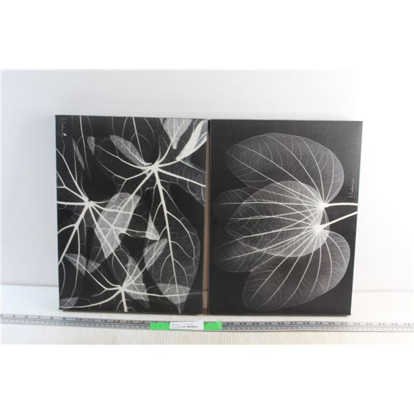 (2) Leaf Prints 16'' x 11''