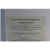 Image 8 : Onward and Upward Print 266/300 With Certificate of Authentication  25'' x 11''