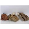 Image 2 : (3) Vintage Baseball Gloves, Venture, Misc., Baseball and Softball