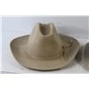 Image 2 : (2) Cowboy Hats