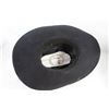 Image 8 : (3) Cowboy Hats