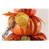 Image 4 : * Pumpkin Topiary - 31" Tall