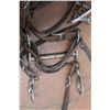 Image 7 : (2) Bridles, Lariat, (2) Bungee Cords, Handkerchief