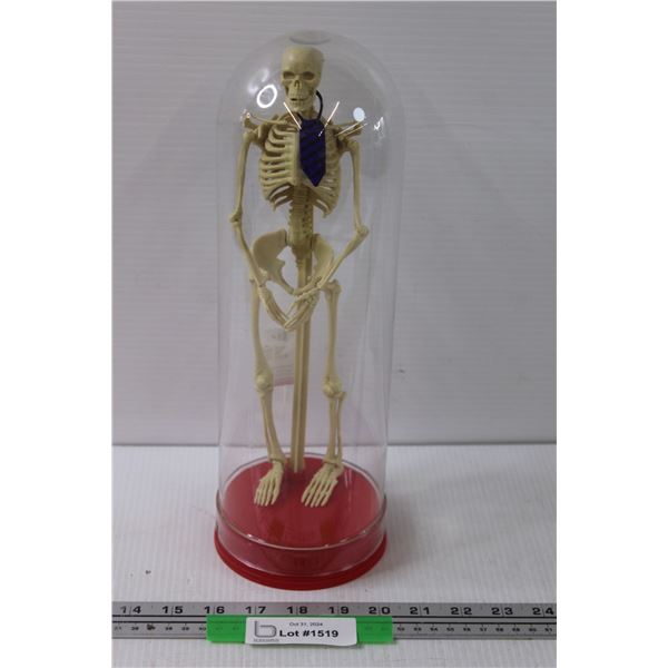 Skeleton in Display - 14" Tall (Plastic)