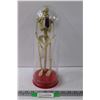 Image 1 : Skeleton in Display - 14" Tall (Plastic)